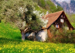 alpine chalet in spring
