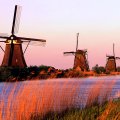 windmills at dawn
