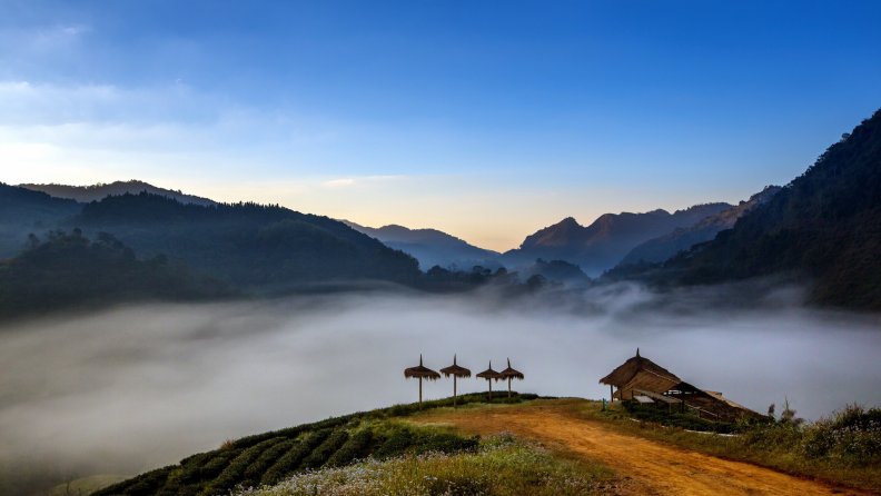 thatched_lodge_on_a_hilltop_in_morning_fog.jpg
