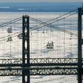 sailboat regatta by chesapeake bay bridges