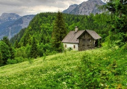 home on a green mountain slope hdr