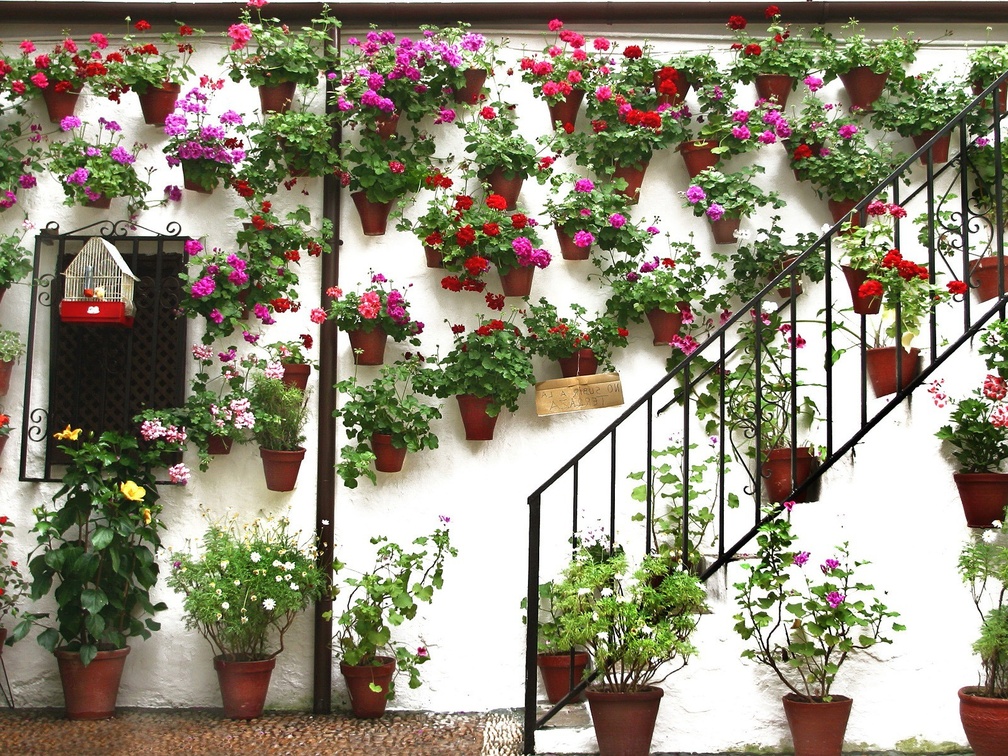 House with many flowers
