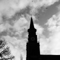 birds flying over church steeple