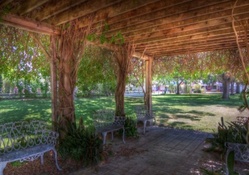 vine covered arbor in a park hdr