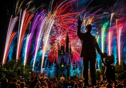 Magic at Disney
