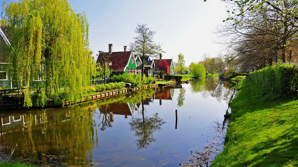 Netherlands Landscape