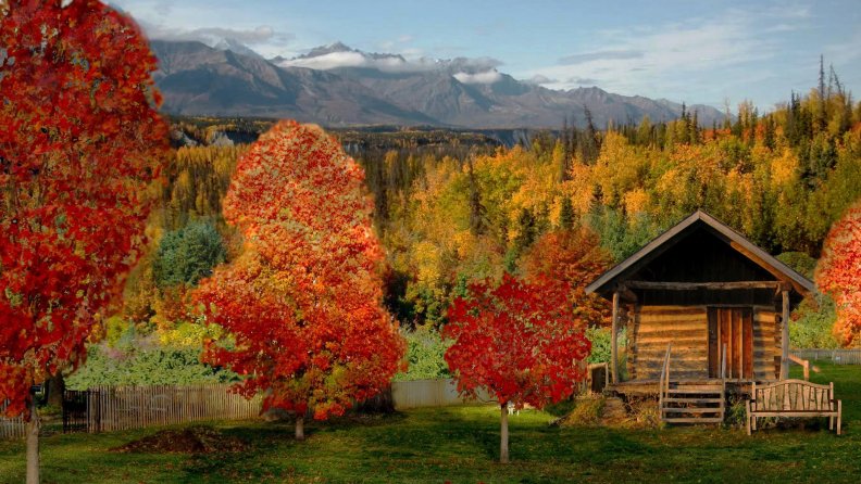 log_cabin_in_a_beautiful_autumn_forest.jpg