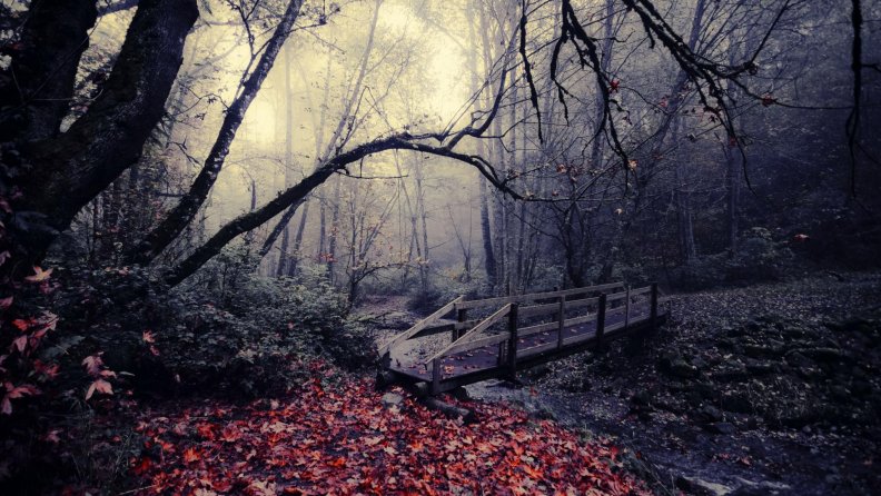 bridge over a creek on a gloomy autumn day