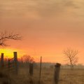 wooden fence post on a farm at sunset