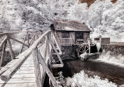 lovely mill surrounded by white trees