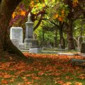 *** Autumn cementary ***