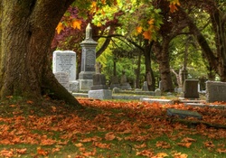 *** Autumn cementary ***