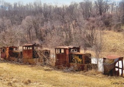 Rusty Abandoned Train Cars