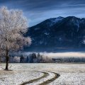 farm at the foot of bavarian mountains in winter