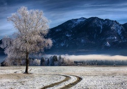 farm at the foot of bavarian mountains in winter
