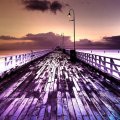 wooden sea pier in purple