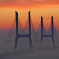 fabulous modern bridge towers in fog
