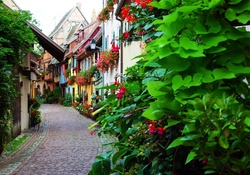 Alley at Strasbourg