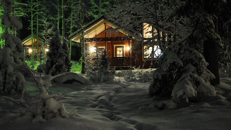 forest homes at night in winter