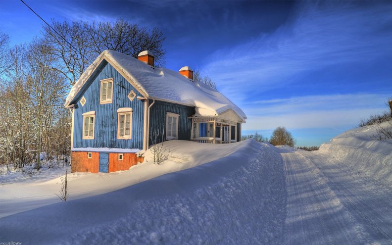 Scandinavian Winter
