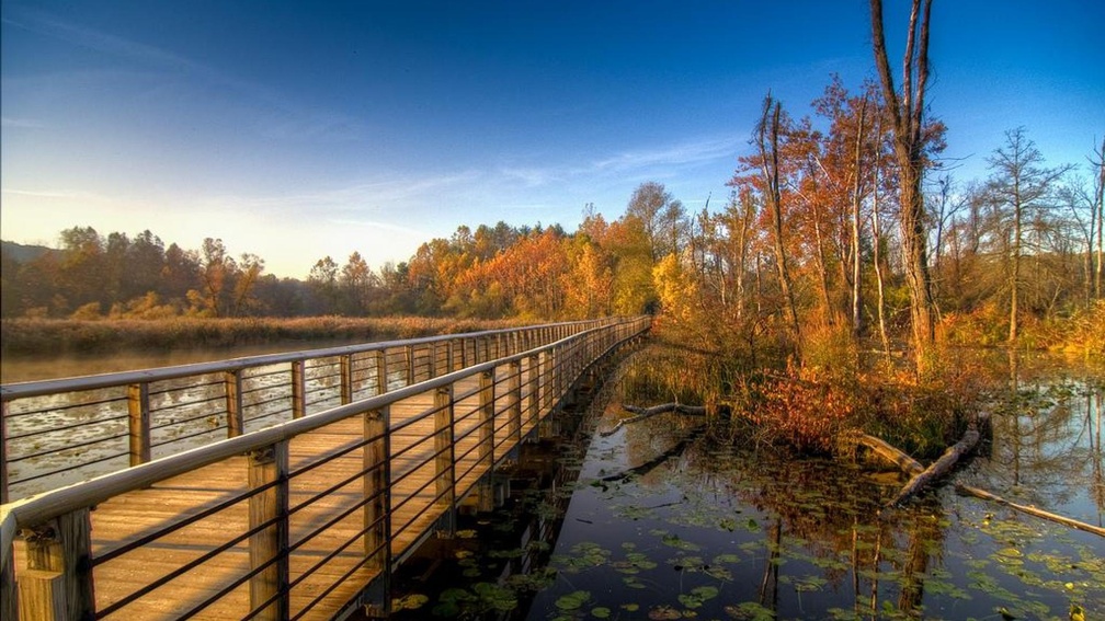 bridge over a lake in autumn hdr