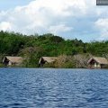 Houses on the Amazon River