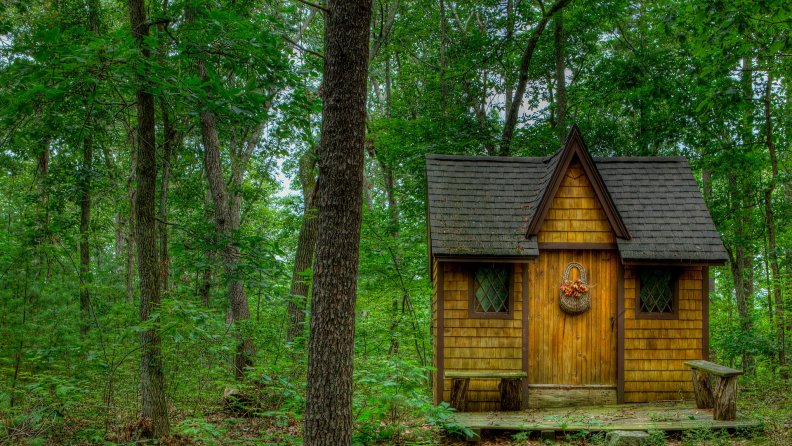 a_fairy_tale_cabin_in_the_forest.jpg
