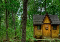 a fairy tale cabin in the forest