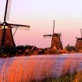 windmills at home