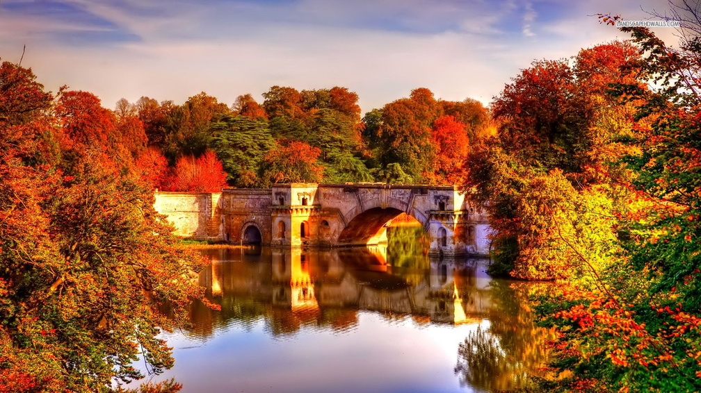 Beautiful Bridge in Autumn Forest