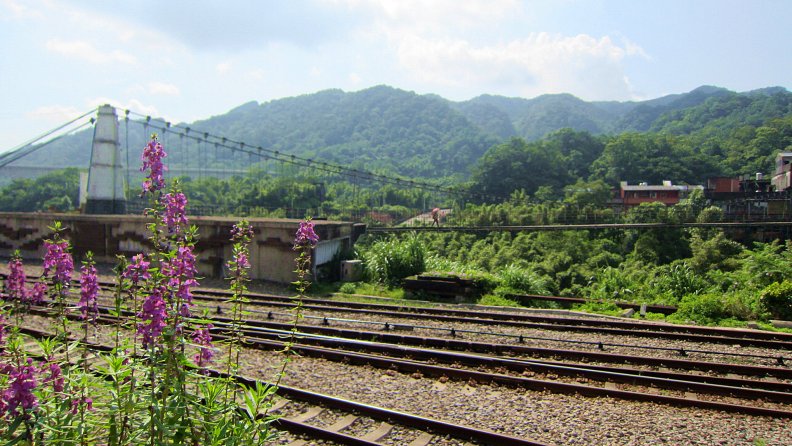 railway_and_suspension_bridge.jpg