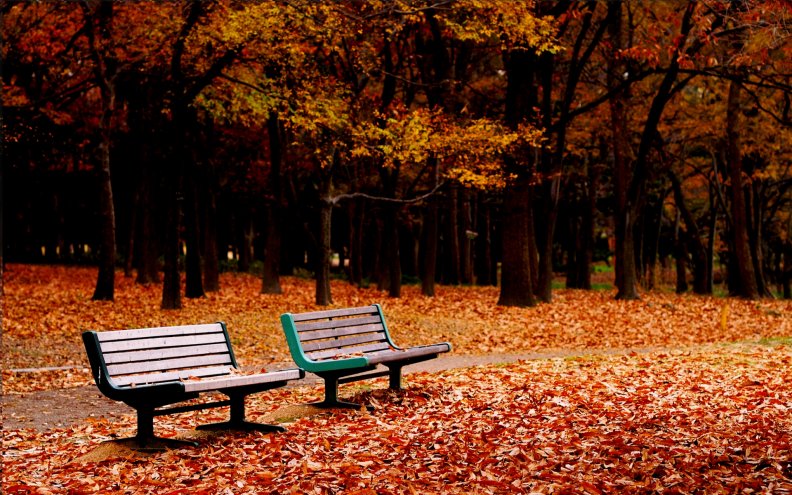 autumn_park.jpg