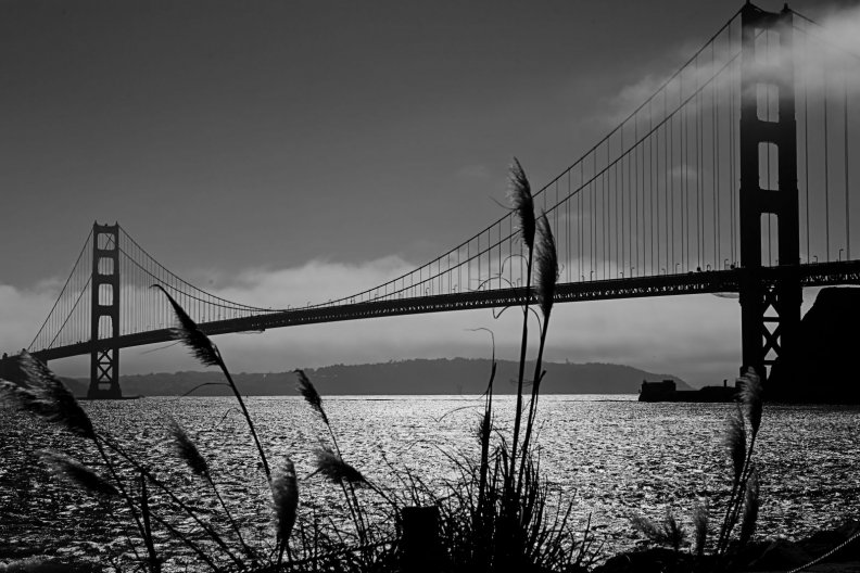 bridge_in_black_and_white.jpg