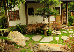 Tea House Courtyard