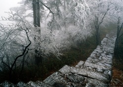 stone path trough a frosted frest