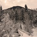 bridge_in_a_winter_scene_in_monochrome.jpg