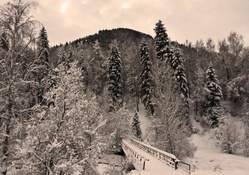 bridge in a winter scene in monochrome