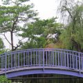 Purple bridge