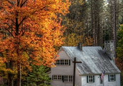 lovely american cottage in a forest hdr