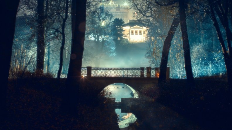 bridge_in_a_park_backlit_at_night.jpg