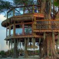 Luxury Treehouse