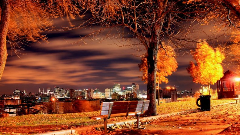 view_from_a_park_above_nyc_on_an_autumn_night.jpg