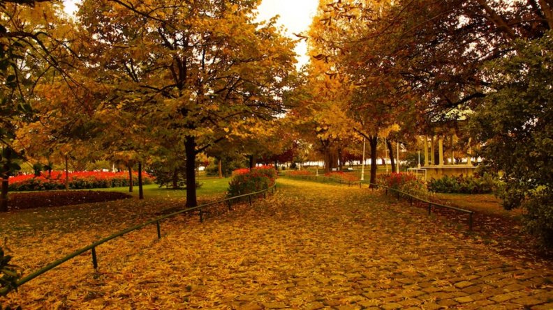 autumn_in_istanbul.jpg
