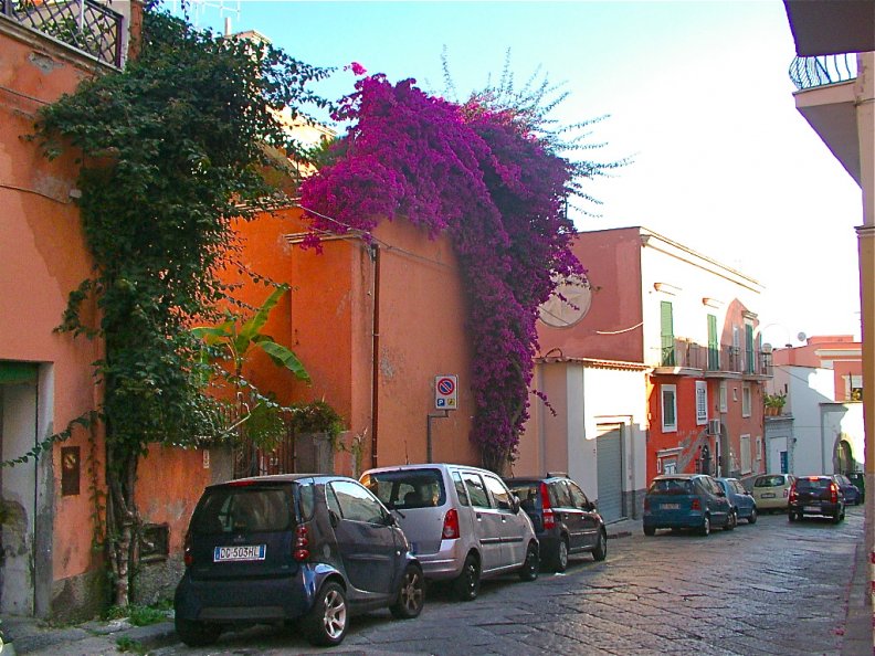 Street In Ischia Italy