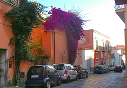 Street In Ischia Italy