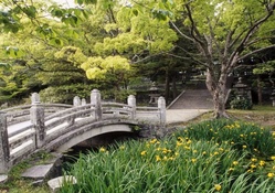 Hagi Castle garden western Honshu