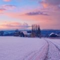 wonderful farm in winter