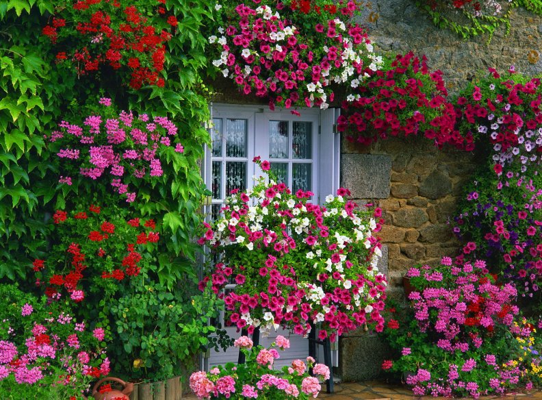 floral_house.jpg