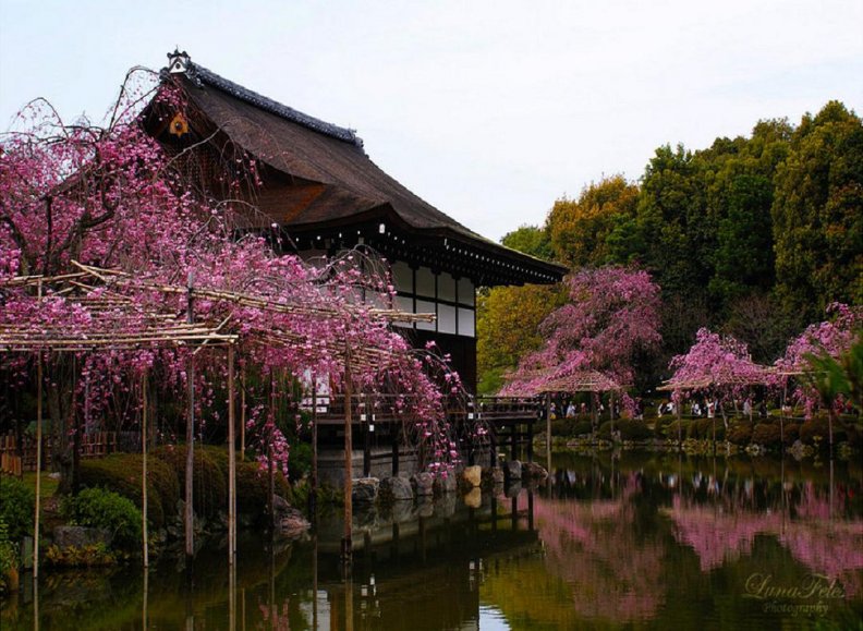 Garden of the Heian Shrine