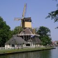 Mill T Haantje